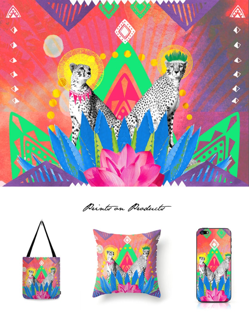 kingdom-of-the-cheetas